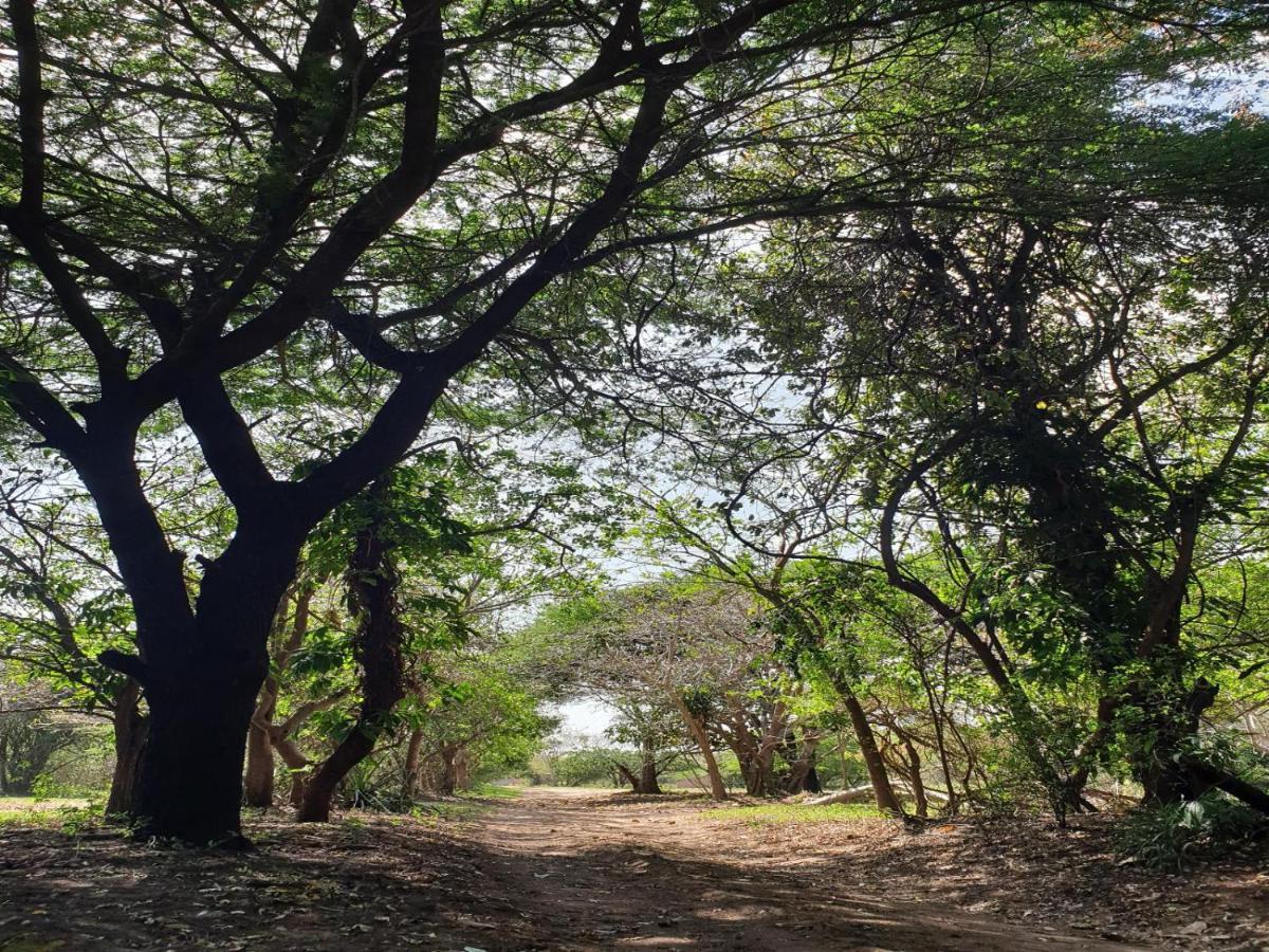 Pumusa Bushcamp Hluhluwe Luaran gambar
